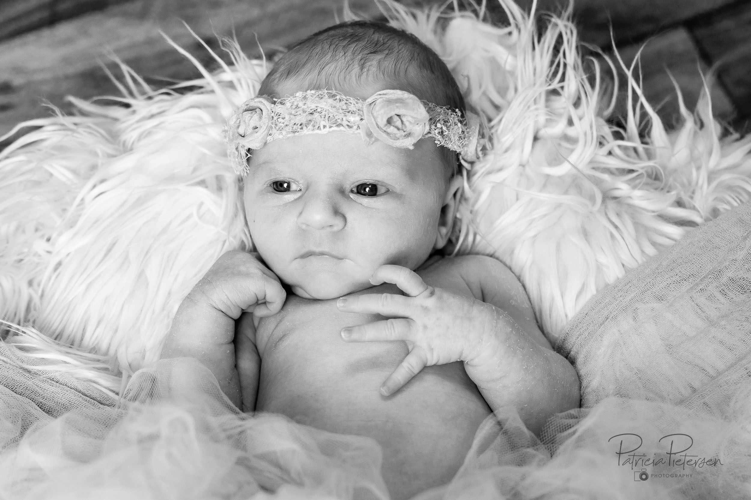 Newborn Portret Baby Kinderen Reportage Fotografie Fotograaf Lelystad Flevoland Oktober Patricia Pietersen Photography  (1)